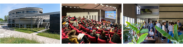 illus venue ai